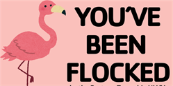 You Have Been Flocked! 